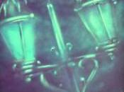 Allumeur réverbère, c’est pied