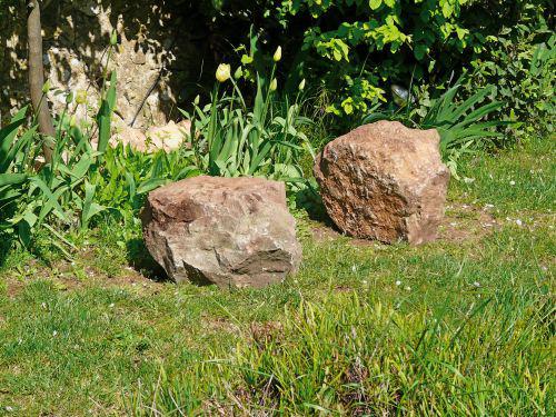 Alimentation des poissons et aménagements du jardin : journal du 16 avril 2010