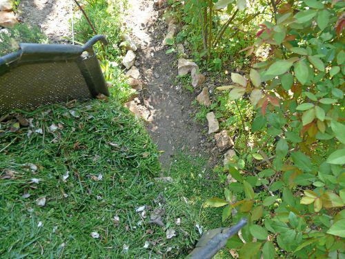 Alimentation des poissons et aménagements du jardin : journal du 16 avril 2010