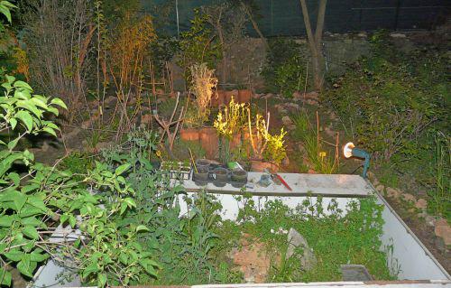 Alimentation des poissons et aménagements du jardin : journal du 16 avril 2010