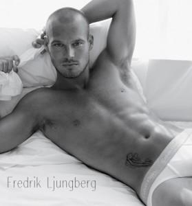 Bon anniversaire Freddie Ljungberg