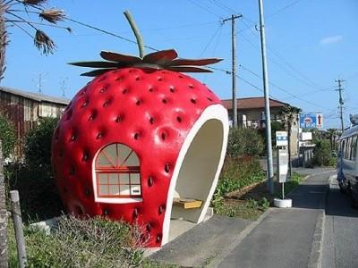 bus-fraise.jpg