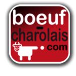 boeuf_charolais
