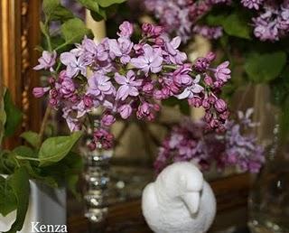 Un bouquet de lilas