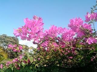 Le printemps s'installe Le printemps s'installe