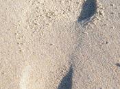 WEEK ...Profiter d'une météo EnsoleilléeDéfinir pa...