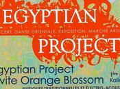 Egyptian project