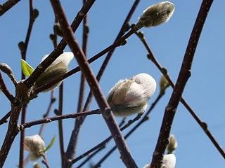 Samedi... de profiter de ce moment
