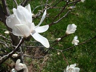 Samedi... de profiter de ce moment