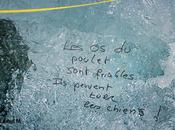 Photo jour (2): avril 2010