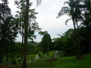 Botanic garden de Singapour (vues d'ensemble)