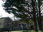 croirait été......