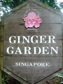 Ginger garden (à Singapour)
