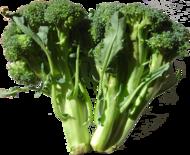 broccoliwikipedia.png