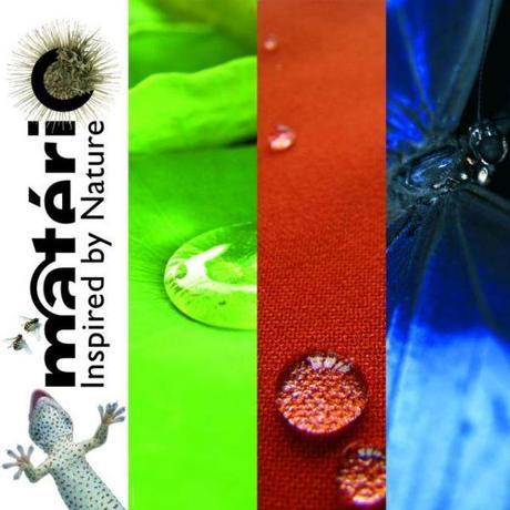 Expositions Inspired by nature