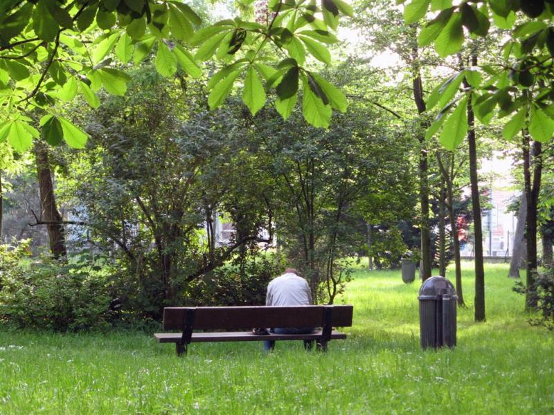 Evidemment (Albert Jourdan)