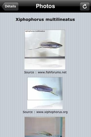 [News : Apps] IQuiCodex, indispensable pour le bien être de vos poissons !