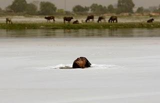 Par la soif, on apprend l'eau...