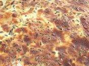 Tarte saumon crevettes mozzarella