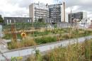 Trouver un jardin potager à paris, Le compostage et les potagers > Ecolo-ville : Ecologie urbaine
