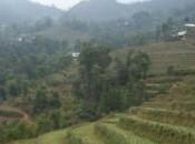 Blog voyage responsable Vietnam