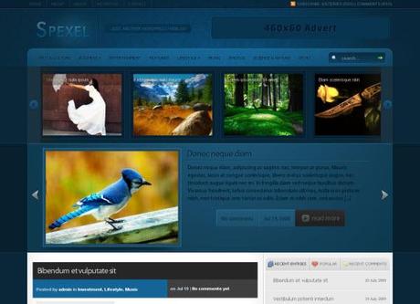 spexel-free-premium-wordpress-theme 27 Thémes Wordpress: les meilleurs de 2009-2010…