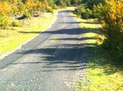 route depuis lundi. gens fait...