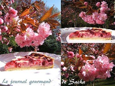 Tarte à la  framboise ..