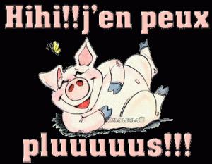 cochon j'en peux plus_1