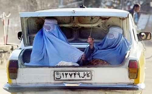 Burqa-bétail.jpg