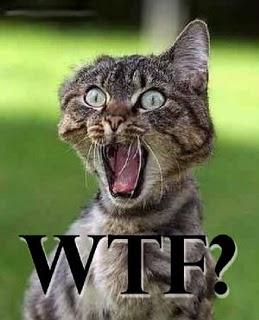 Chronique d’une solitaire au boulot