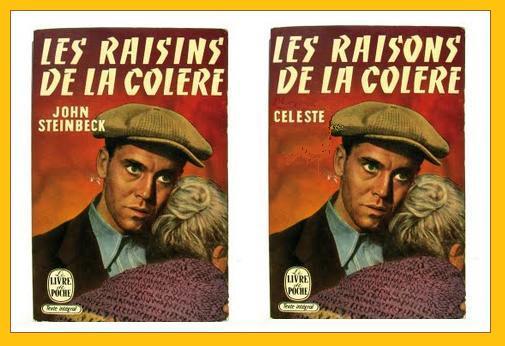La Chaîne des Raisons de la Colère.