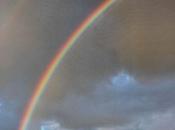 Fuir bonheur peur qu'il sauve...