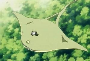 Les 13 divisions de la Soul Society