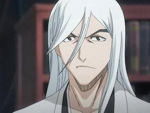 Les 13 divisions de la Soul Society