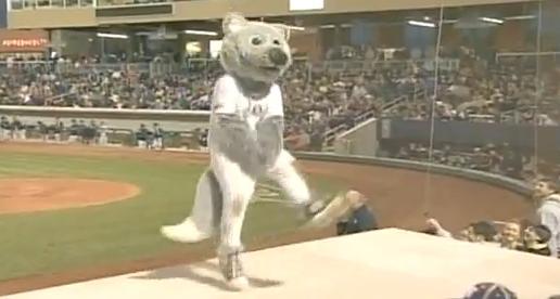 Une mascotte danse, danse ... et c'est la chute !!