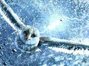 Royaume Ga'Hoole... nouvelle bande annonce VOST