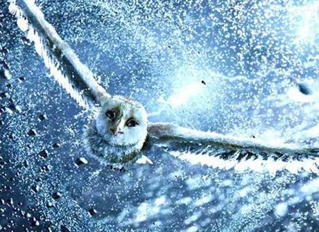 Le Royaume de Ga'Hoole... une nouvelle bande annonce ... en VOST !