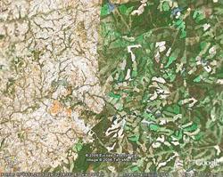 La tragédie des communs illustrée au Zimbabwe