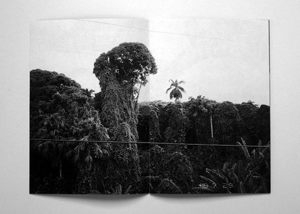 ARI MARCOPOULOS – THE WAR IS OVER