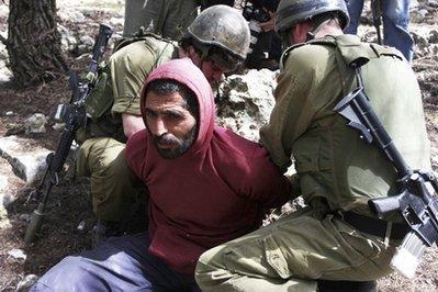 Rapport sur les violations israéliennes des droits humains (67)