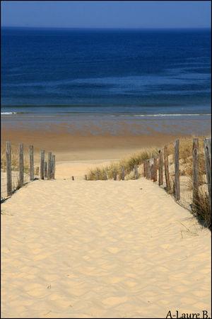 Lege_Cap_Ferret_dune_112