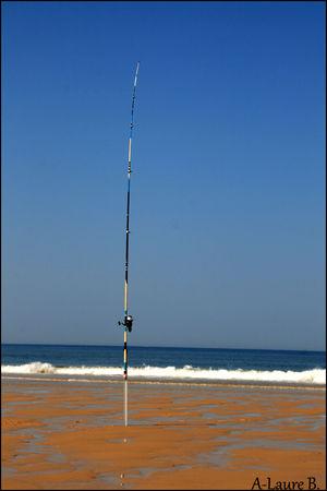 Lege_Cap_Ferret121_copie