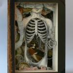 Les couvertures de l’imaginaire