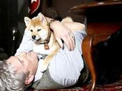 Hatchi 1ere bande annonce film avec Richard Gere chien