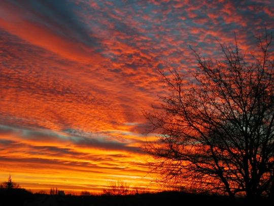 Soleil de chez nous (Renée Rabineau)