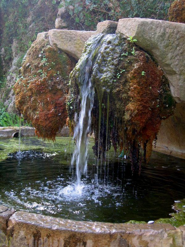 Fontaine du Var (Fernand Sauvaire)