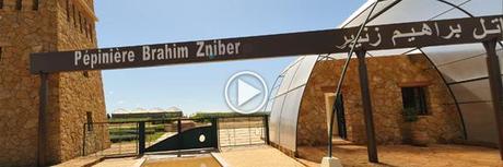 Pépinière Brahim Zniber - Meknès