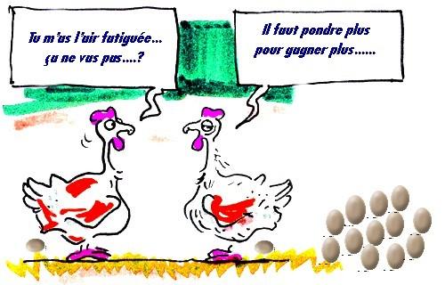poules.jpg
