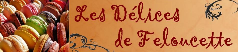 Le blog de feloucette